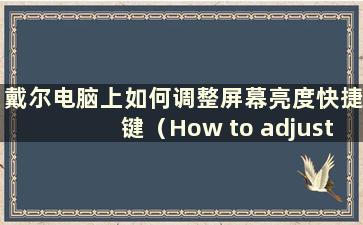 戴尔电脑上如何调整屏幕亮度快捷键（How to adjustment screen Bright time on Dellcomputers）